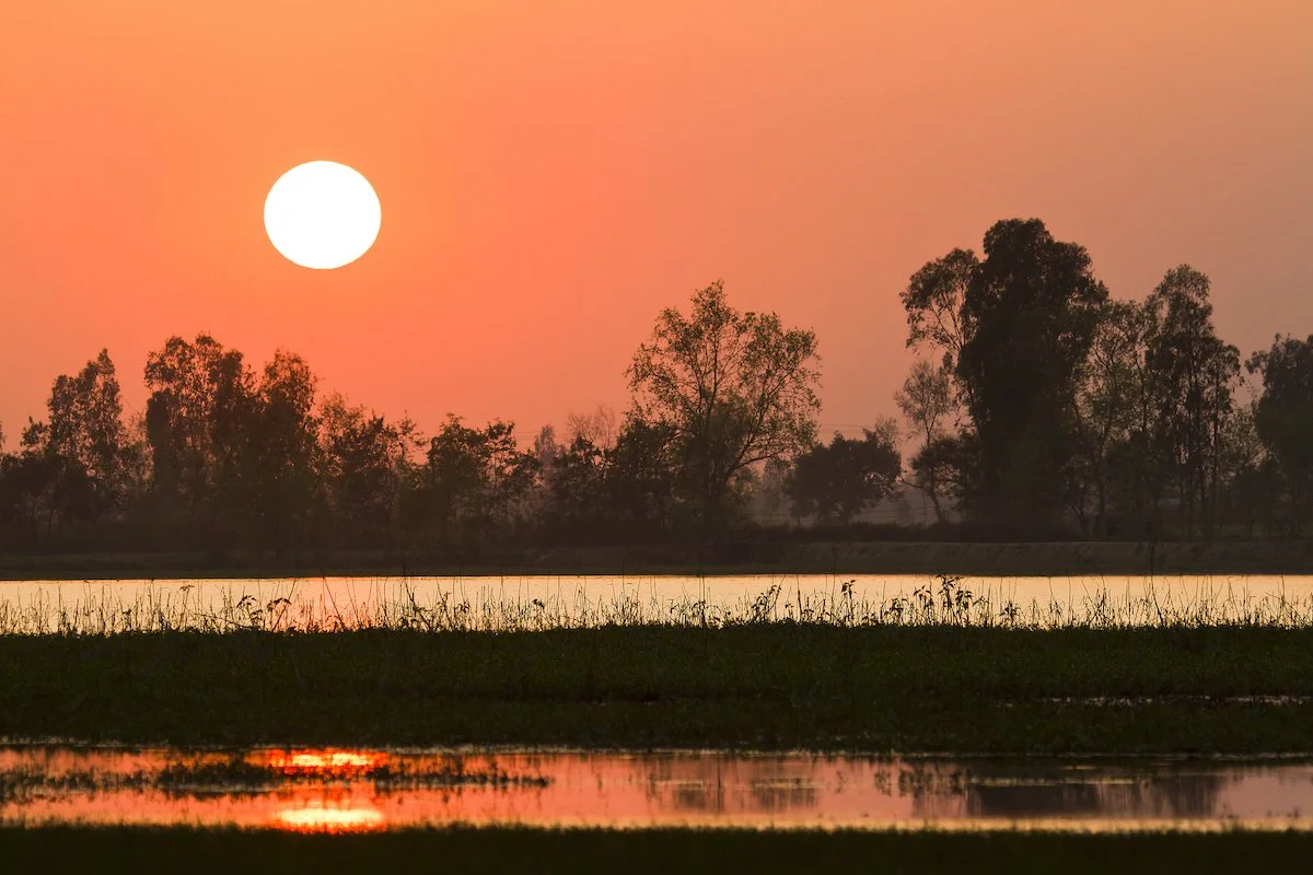 Bardiya National Park landscape Bardiya National Park landscape